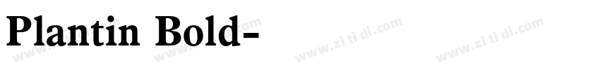 Plantin Bold字体转换